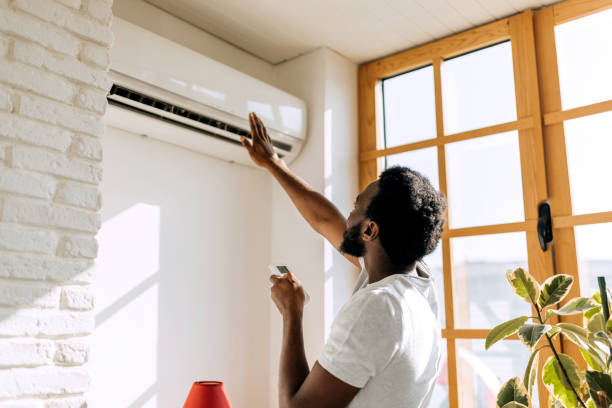 Best Air Filters and Purifiers in Home, WA